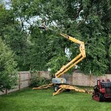 Best Fruit Tree Pruning  in Mays Landing, NJ