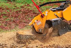 Best Grass Overseeding  in Mays Landing, NJ